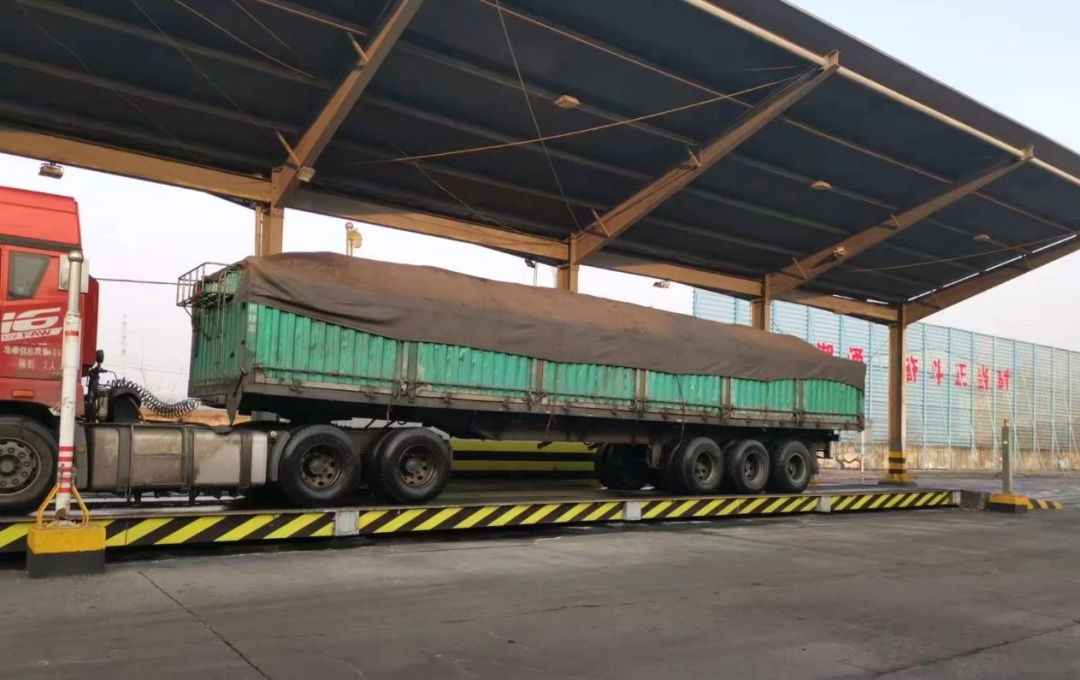 1769671133117864.jpg 01.jpg