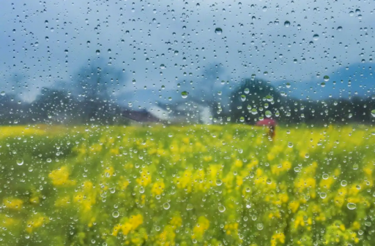 春雨落满园